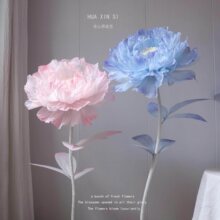 ������ș���ϰ��ֹ���ˇ��DIY���b����׃��@��չ���y��ţ����