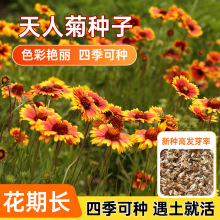 ˾շNӶ޸͟׷NL@־^GƤջ