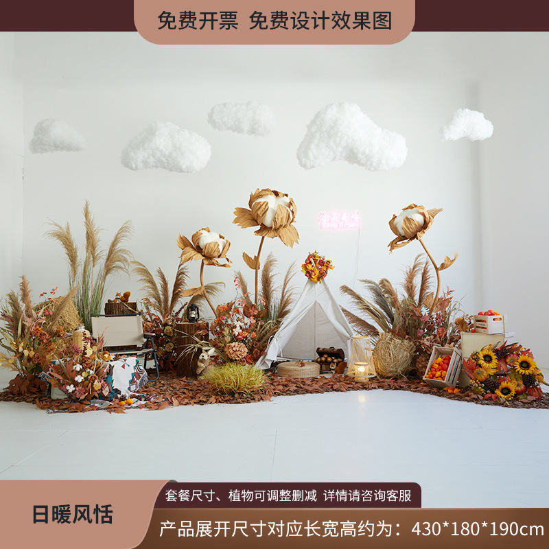 植物造景假绿植棉花云朵芦苇干花装饰直播间秋冬橱窗场景布置日暖|undefined