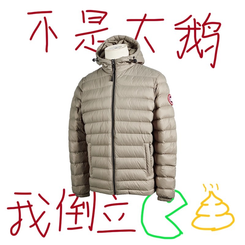莆田大鹅轻薄羽绒服女连帽保暖休闲修身显瘦休闲百搭时尚外套