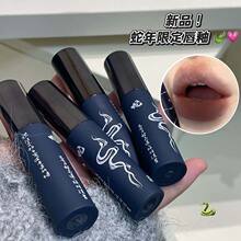 HERORANGE~丹青朱颜流光唇釉哑光雾面持妆显色不拔干素颜显白口红