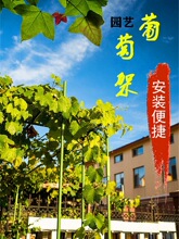 葡萄架爬藤植物支撑杆百香果黄瓜豆角庭院室外包塑钢管月季攀爬架