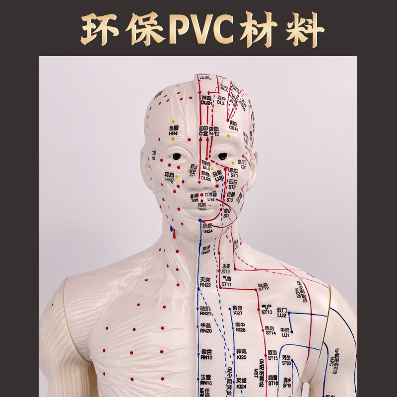 85CMģͰ뼡ģҽѨλͭģ