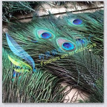 厂家直销孔雀毛 孔雀眼  尺寸齐全 现货 销售  羽毛饰品金片蓝片