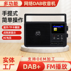 外国貿易のcs-806携帯型ネットfmラジオ携帯型多機能dab fmラジオ