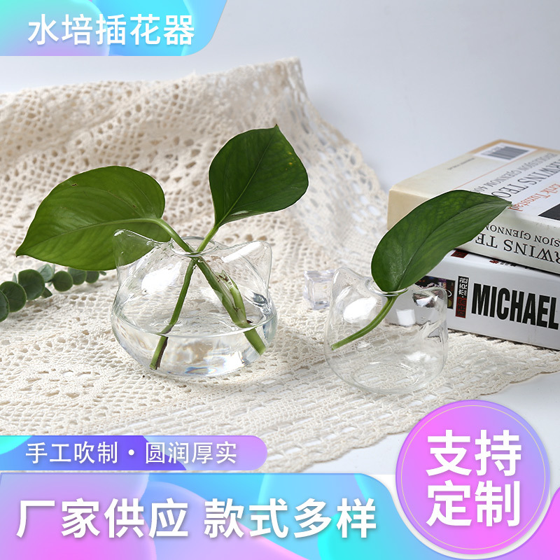 Japanese-style glass vase home decoration cat desktop green plant hydroponic vase creative micro-landscape mini cute
