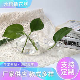 日式玻璃花瓶家居装饰猫咪桌面绿植水培插花瓶创意微景观迷你可爱