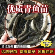 �ݽz���~������~����Ͳ��~���a�~���Ĵ���~���Bֳ���w�~�����