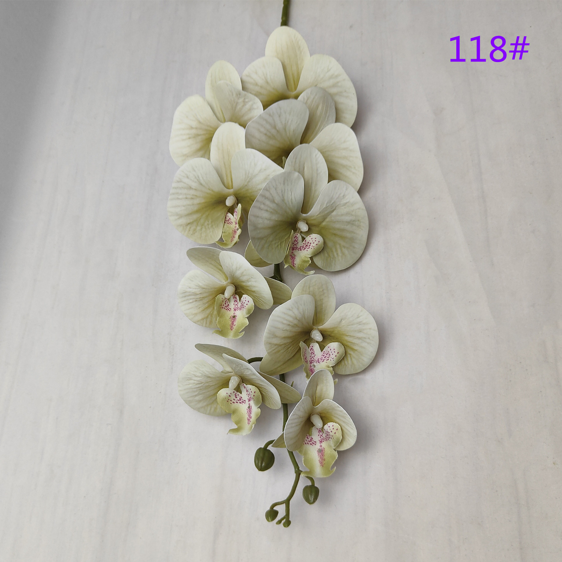 IMG20230509162732_副本