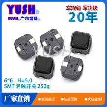  6*6*5mm NƬ2_oozIp|_Pz_P6X6X5 2P