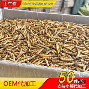 Barley Worm Dried Mealworm Manufacturer Direct Supply Wholesale Arowana Ornamental Fish Pet Feed Turtle Grain Hamster Snacks
