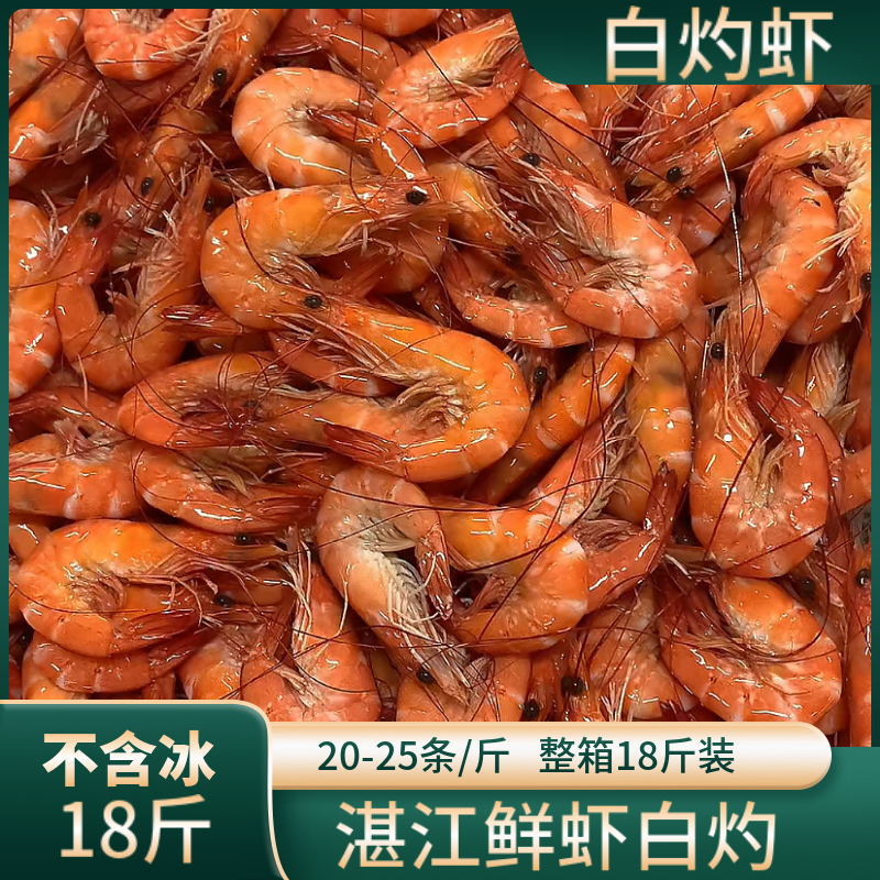熟虾白灼虾整箱发货酒席餐饮熟虾批发活虾白灼熟冻技术味道鲜美