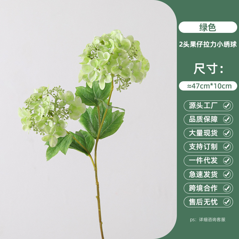 작은 수국을 당기는 녹색 2 머리 과일