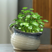 �o�׻����մ�ˮ�������~�X��˯ɏ��ɏˮ�Bֲ��G�}��ڏ����⻨��