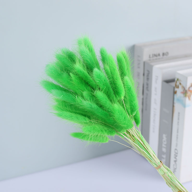 La flor eterna de la flor de la cola de conejo hierba seca 60 piezas al por mayor Dogtail hierba seca ramo de flores decoración DIY conejo hierba de la cola