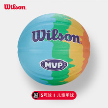 威尔胜(Wilson)儿童青少年用5号橡胶篮球花色彩虹配色WZ3012301CN