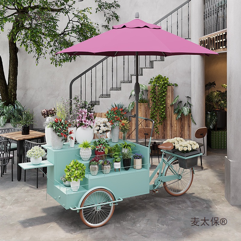 活动可促销车展示公园车商场夜市花车骑行售货摆摊倒骑驴广麦太保