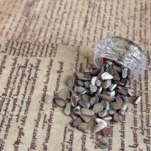 �����¿�ins��Ȼؐ��Ƭ�����Ʒ�ǹ�ɫϵ��ؐ��diy����������NƬ