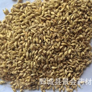 ��ѿ500������ѿ������ș�I����ș�����l