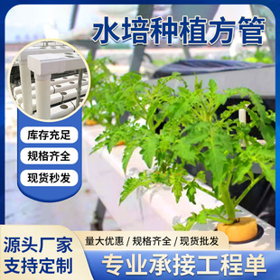 pvcˮ��ܵ��߲˻��ܷNֲ�ܜ��Ҵ���o���������緽�����Ϲ����l