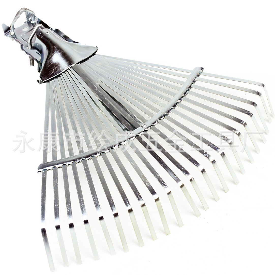 2024-09-25 14:16:12.jpg