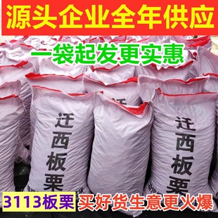�w�����������r313���l��؛����100���ǳ��������r�ӱ�����3113