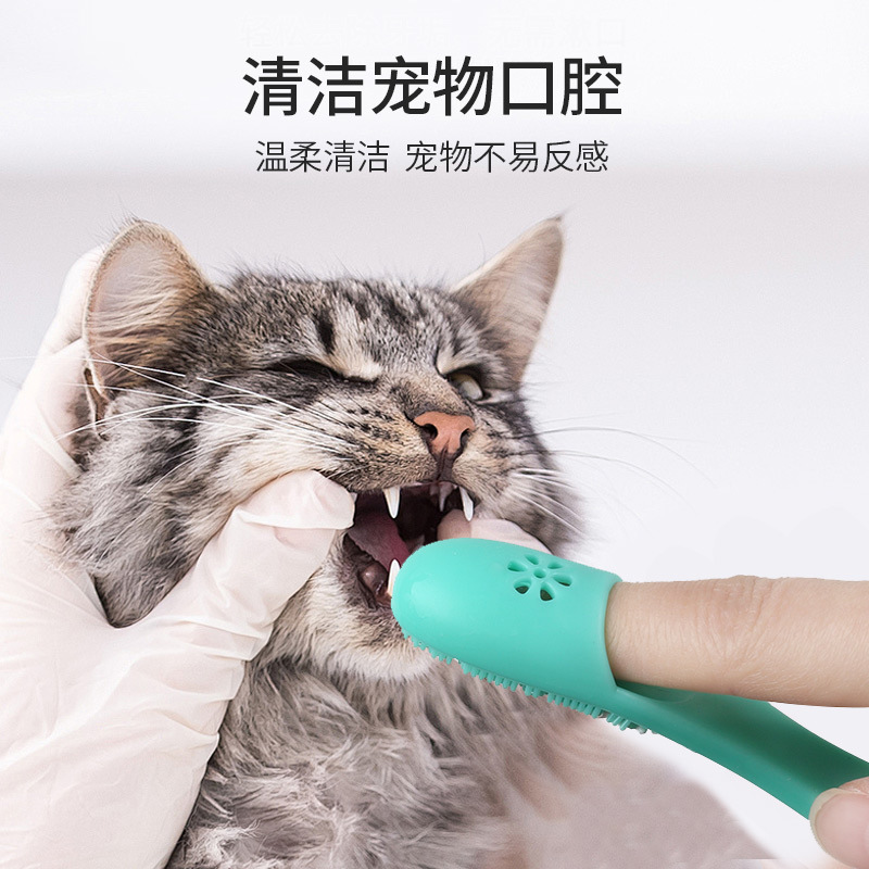 cepillo de dientes para mascotas pasta de dientes para perros y gatos productos de limpieza oral dedos al por mayor antibacterianos