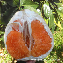 �޽ӽ������̩�����_�t�����Ә���tƤ�t�����Ә��玧�~�l؛����