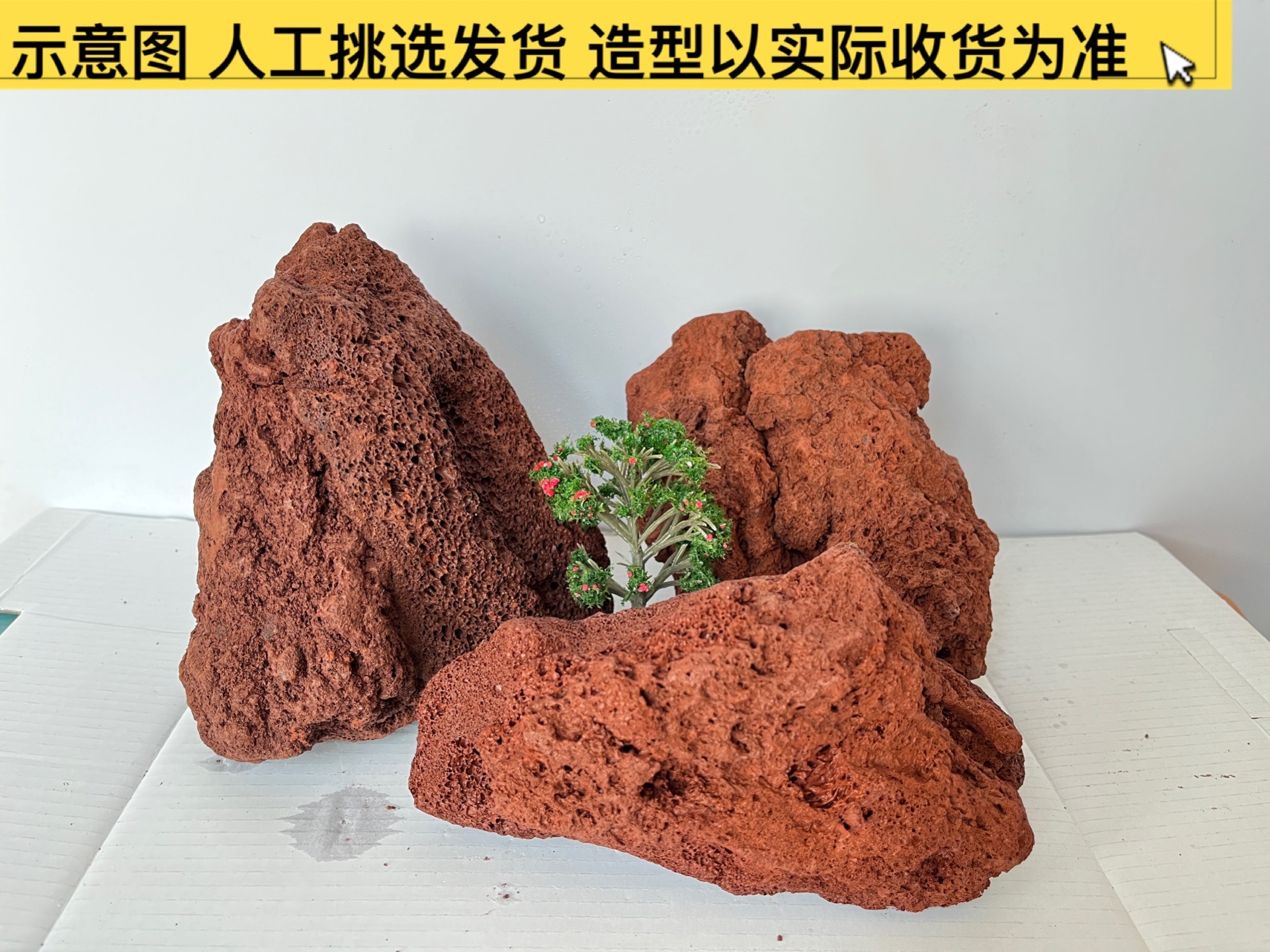 5파운드, 약 10-15센티미터 [강력 추천] 약 4개