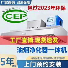 然霆商用油烟净化器一体机环保节能小型排烟罩