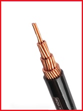 늾| _ JKYJ 10KV 120mm² ܿս^~ 1 ҎXLPE