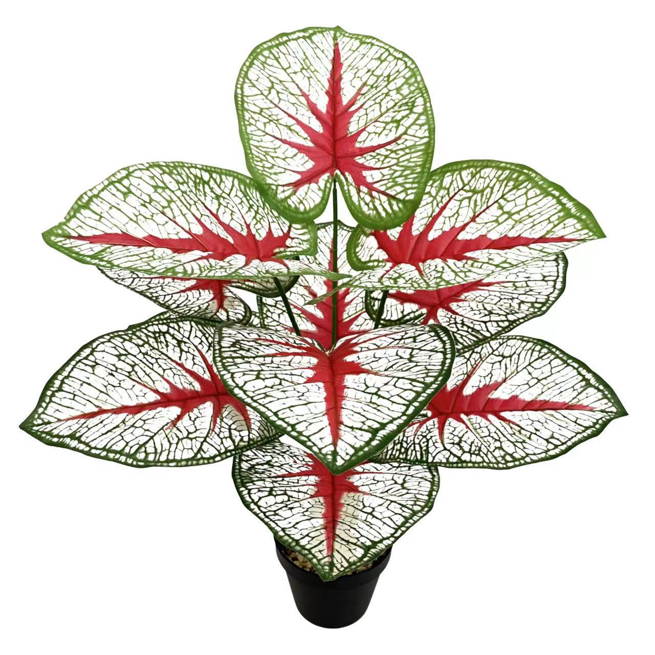 微信图片_20230222152142