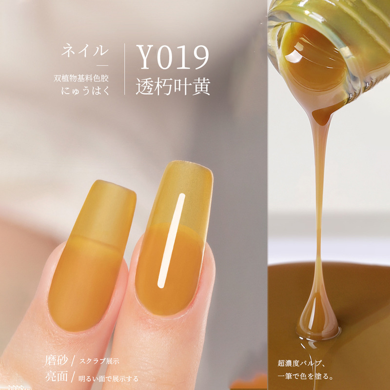 Y-019