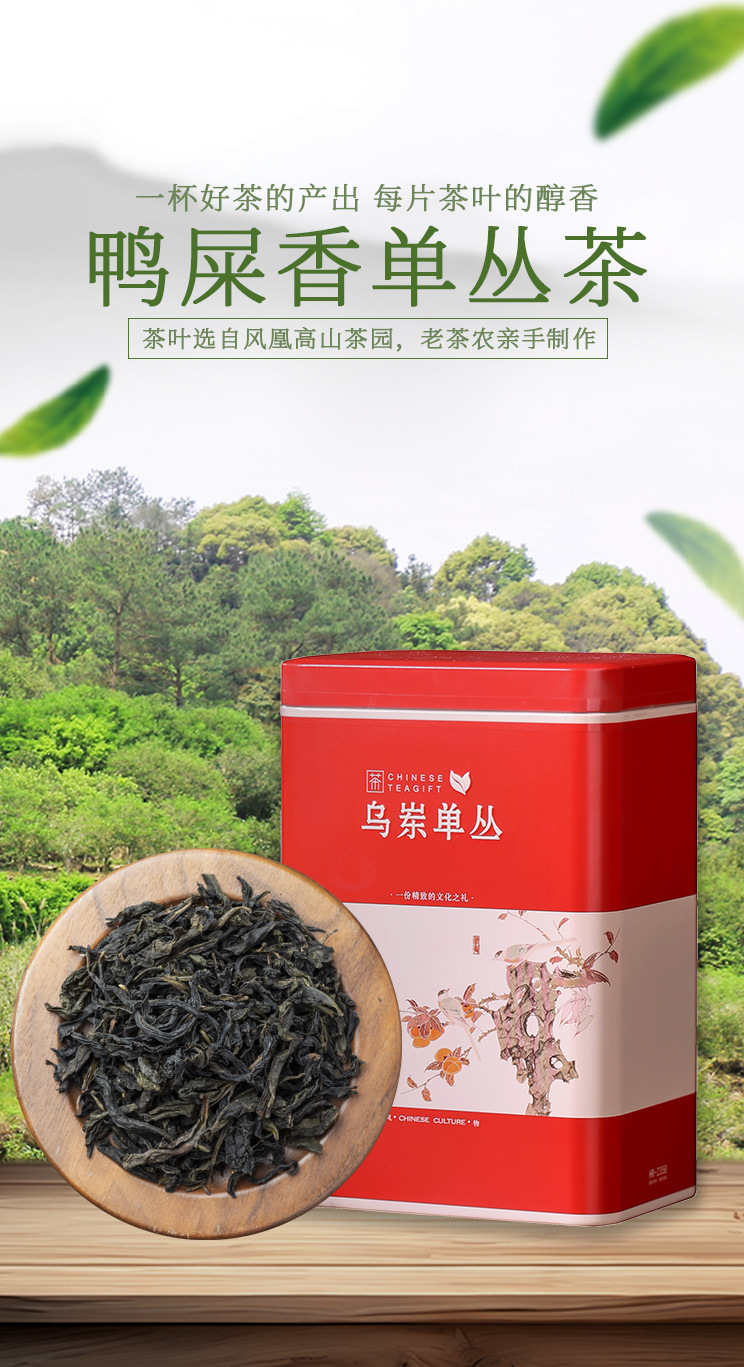 hmqViviiyNSAyin9WuaVt0RZObWOrtCGk/hf