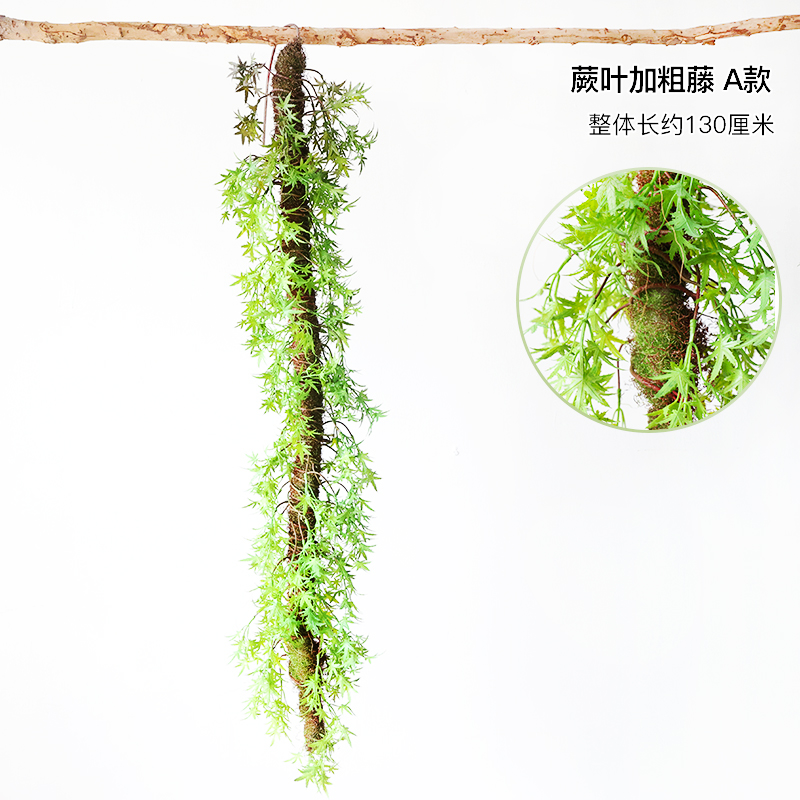 Fern leaves and thick rattan - type A - dry branches
