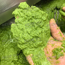 ���ٺ��}�����ߴ����C ���ߴ����{�O�� �S�Ҷ��Ʋ�ݮ��{�C