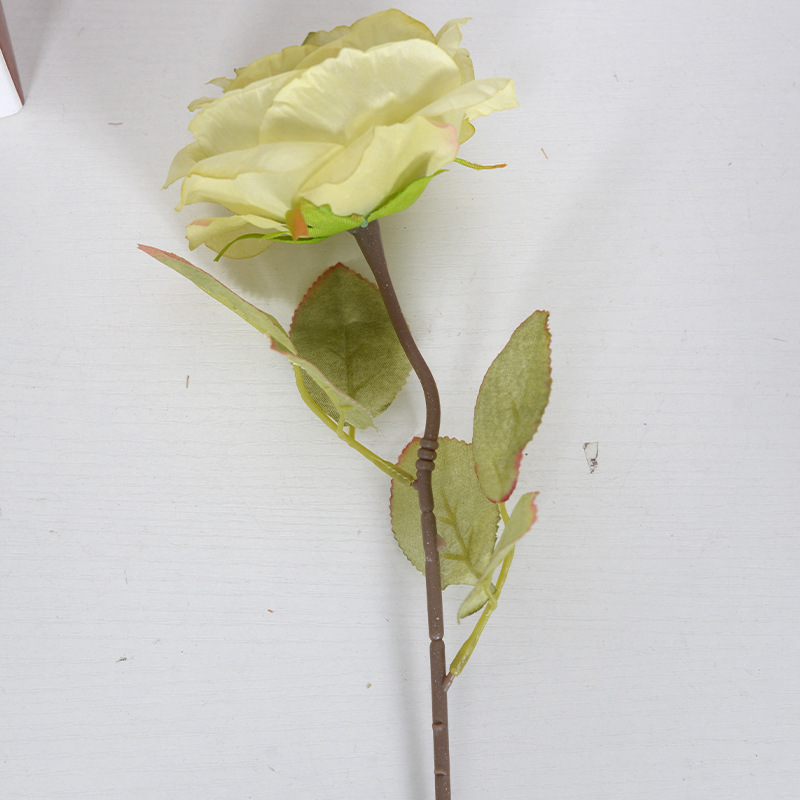 코어가 있는 녹색 10cm