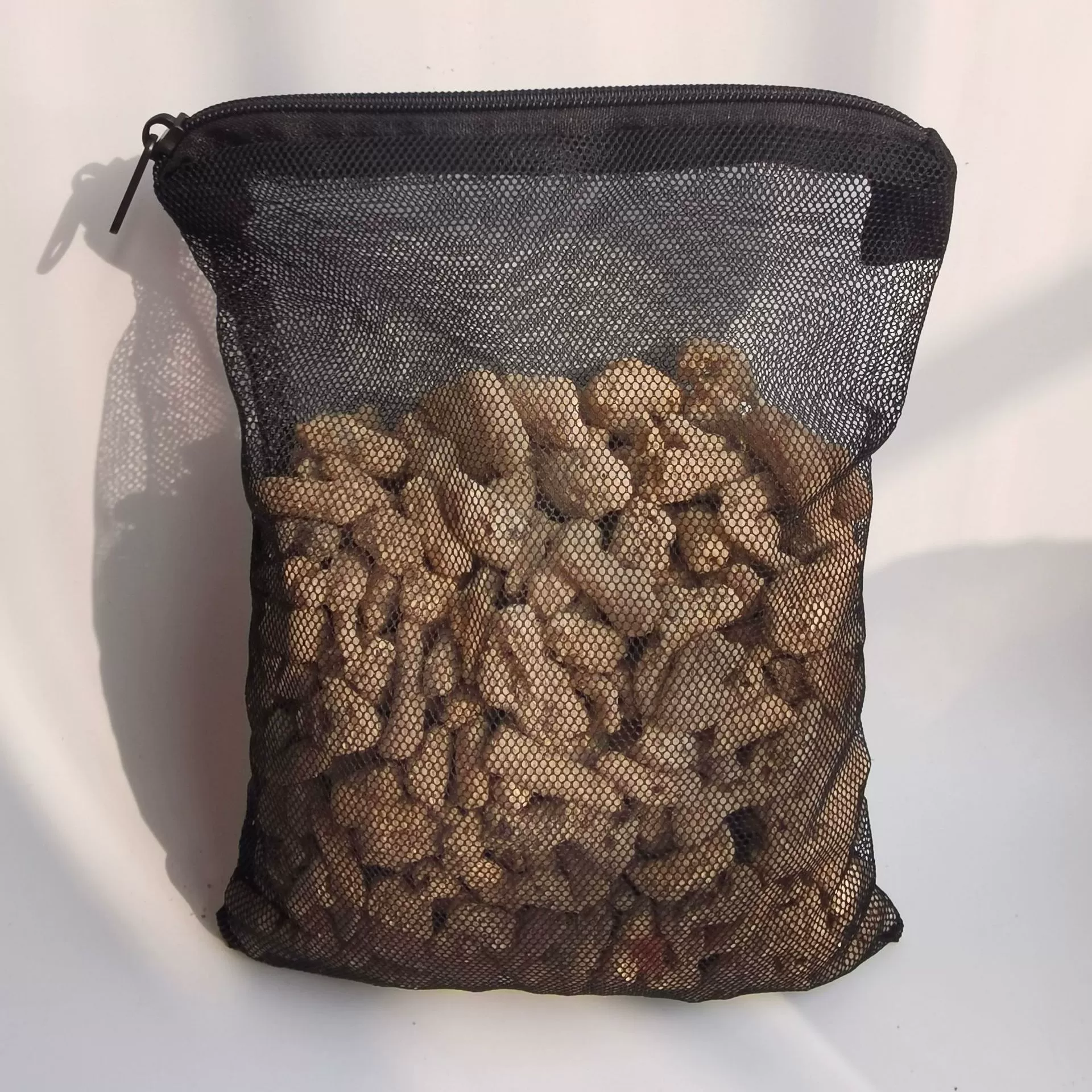 Коралловый морской большой аквариум, оптом