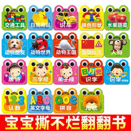 0-6岁宝宝撕不烂翻翻书水果蔬菜婴幼儿启蒙认知早教玩具批发童书