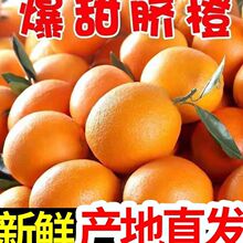 �����~�ɠ�Ě�Ȯ����������rˮ��ե֭�r�ȷǽ����M�ϵ�Ě�Ȱ��]