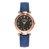 Fashionable starry sky, matte belt, quartz watches, swiss watch, Birthday gift, wholesale