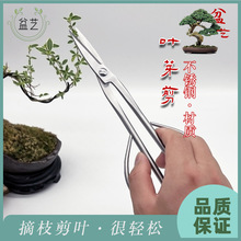 盆景叶芽剪不锈钢园艺剪修枝花艺插花制作工具枝叶小枝切剪