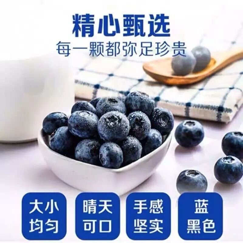 批发蓝莓果干500g无添加原味花青素酸甜儿童零食酸奶伴侣烘培代发|undefined
