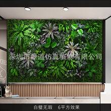 ����赟o覡�����ֲ�1ƽ���ٲ�ƺ����������ֲ��������m�G�~
