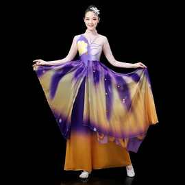 古典舞渐变色2024新款十八焕蝶伴舞舞蹈服演出服女中国风飘逸服装
