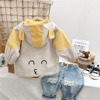 Spring summer clothing, jacket with hood, children's demi-season autumn top, 2023 collection