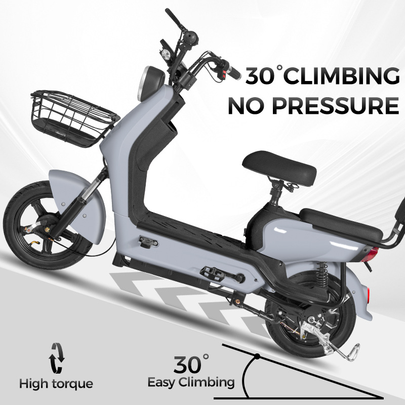 Comercio exterior transfronterizo coche de batería doble e-bike coche eléctrico portátil 48V Shenniu bicicleta eléctrica de dos ruedas