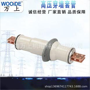 High Voltage Through-Wall Bushing Cb-10Kv/400-2000A Copper Bar White Ceramic Indoor High Voltage Copper Conductor