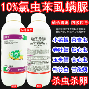 10%���x��ʭ�\�����x�����������@С�˶�����x����x�rș���x��