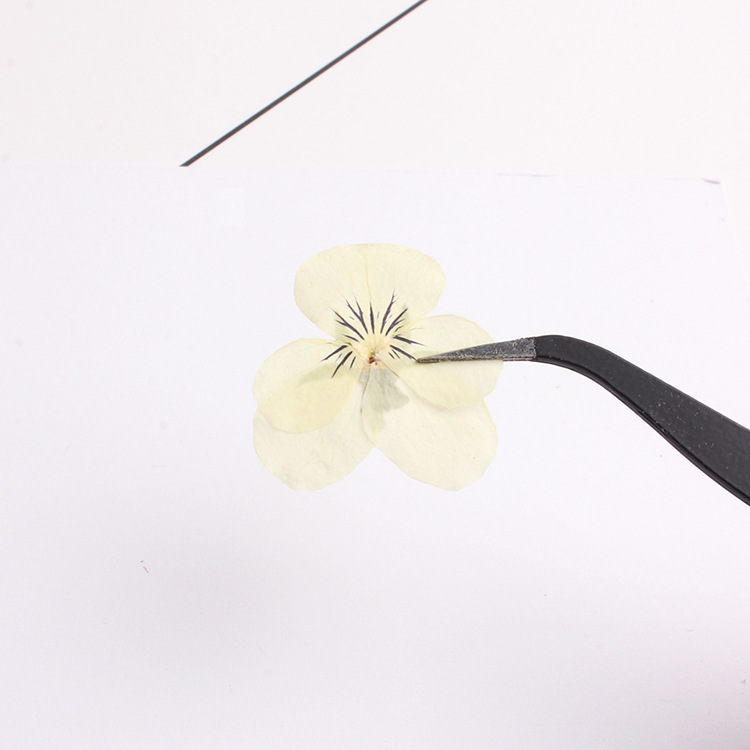 8844264231_448688674